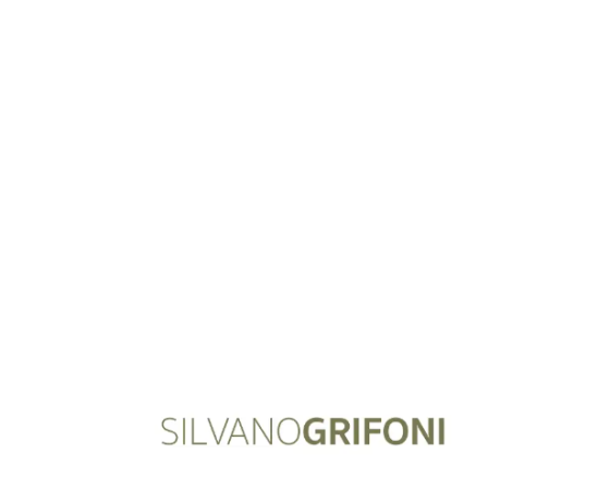 arteitalianagroup ru SILVANO GRIFONI 003